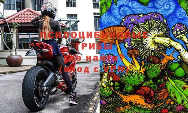 круглые Абаза