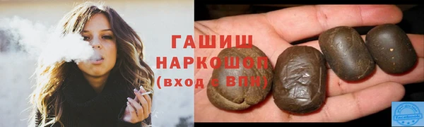 гашик Алексин