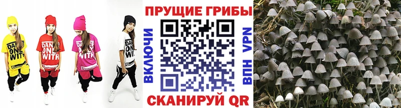 Галлюциногенные грибы мицелий Власиха